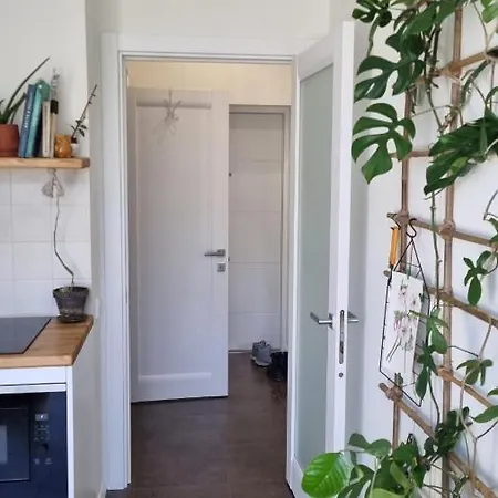 Kyiv Jungle Apartment Exterior photo