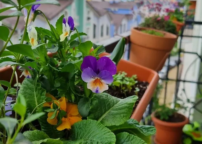 Kyiv Jungle Apartment