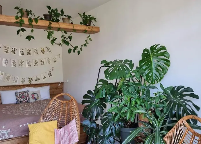 Kyiv Jungle Apartment