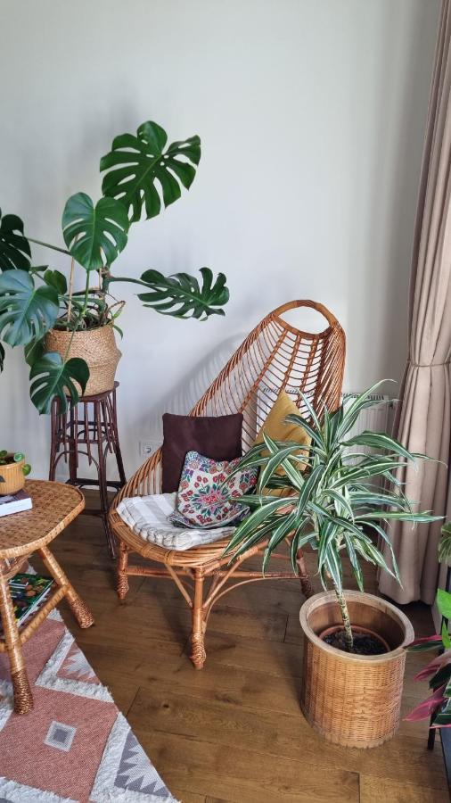 Jungle Apartment
