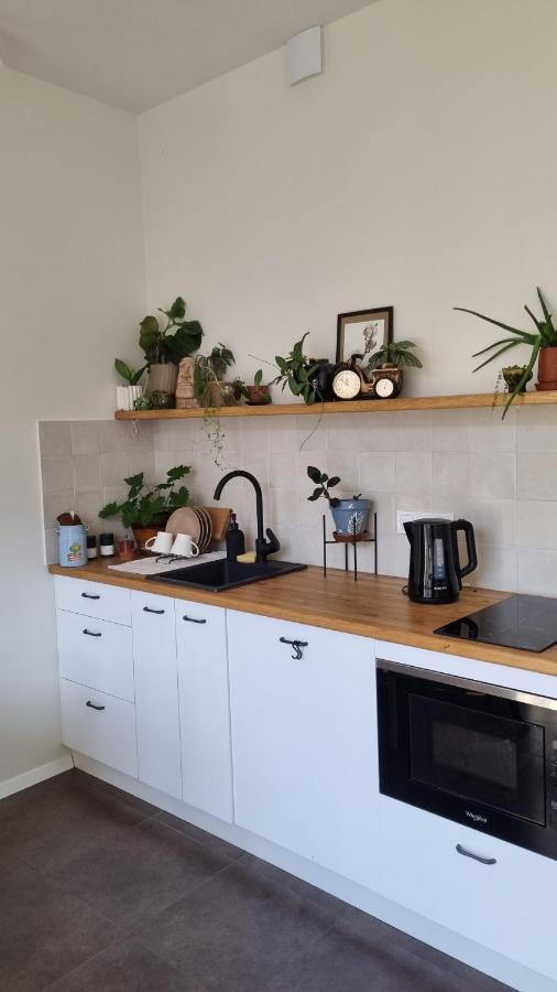 Apartment Jungle *