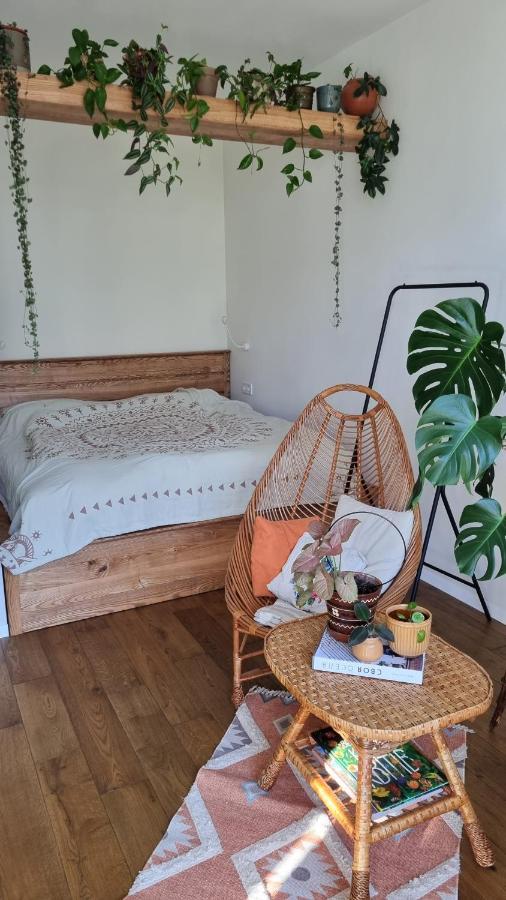 Jungle Apartment *