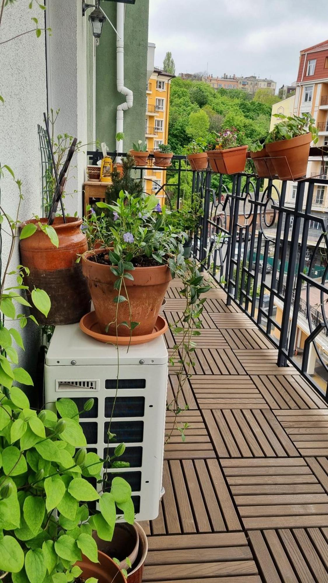 Apartment Jungle *