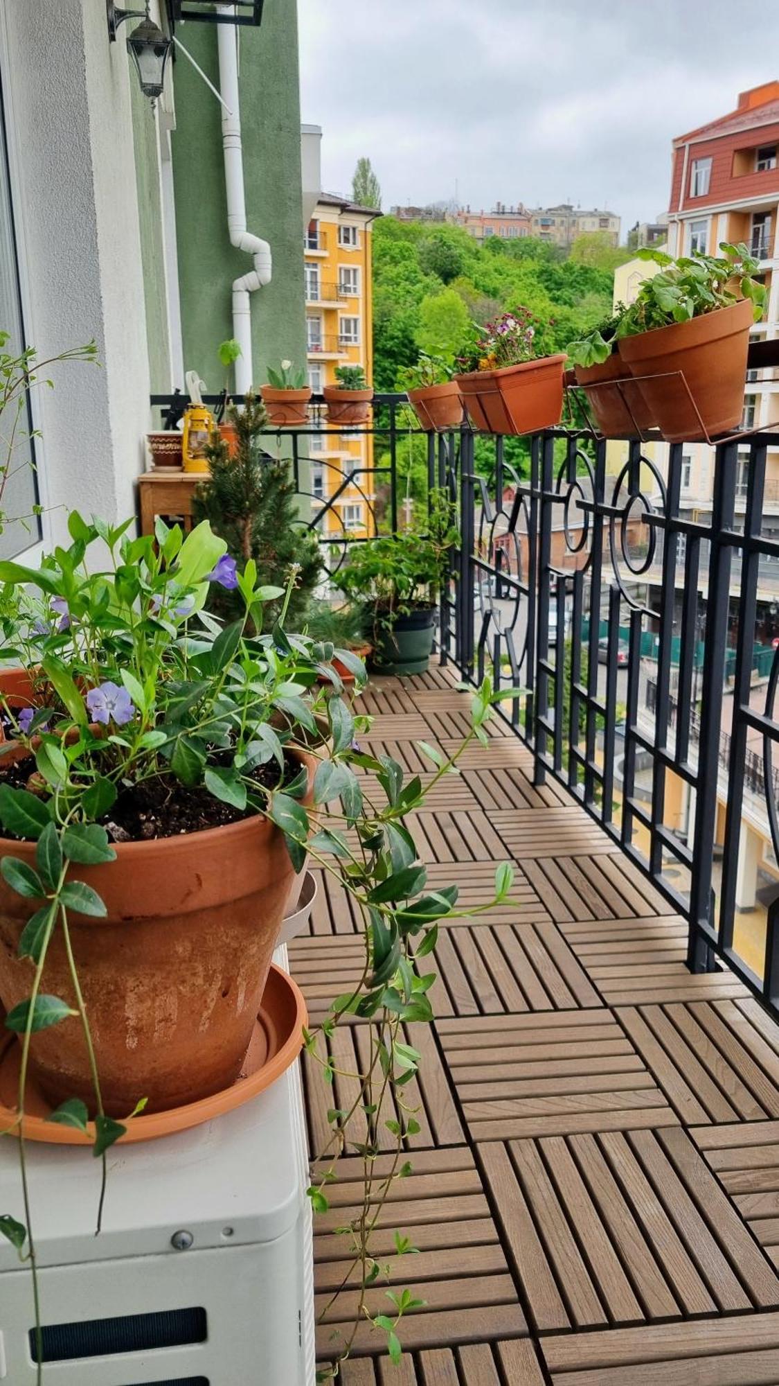 Apartment Jungle Kyiv