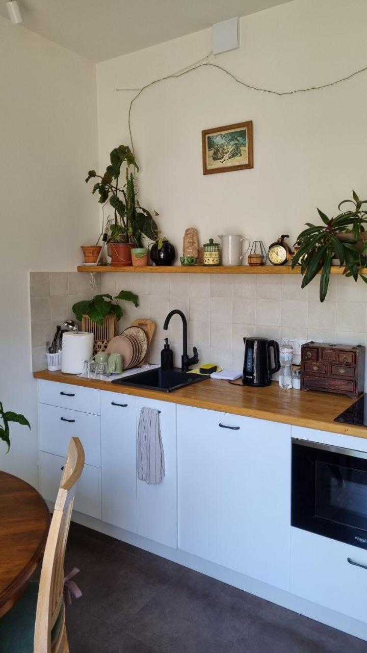 Jungle Apartment *