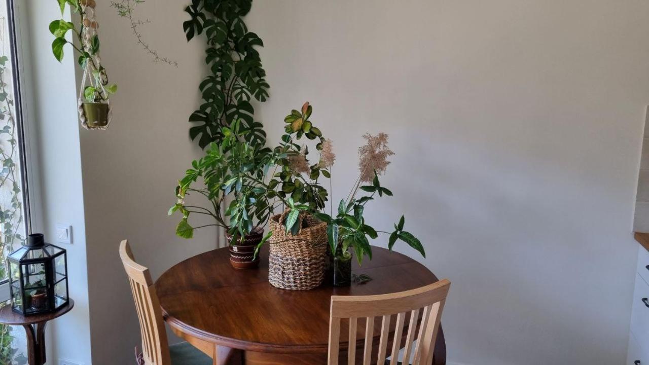Jungle Apartment Kyiv