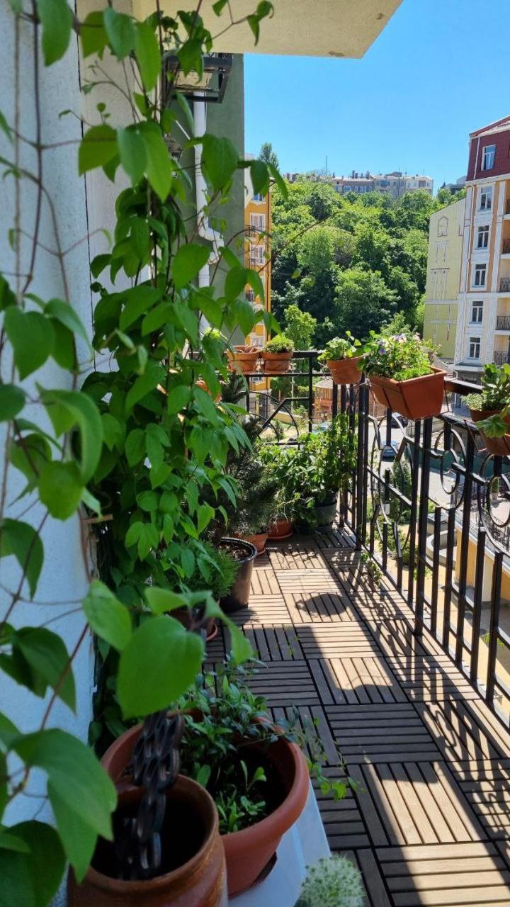 Jungle