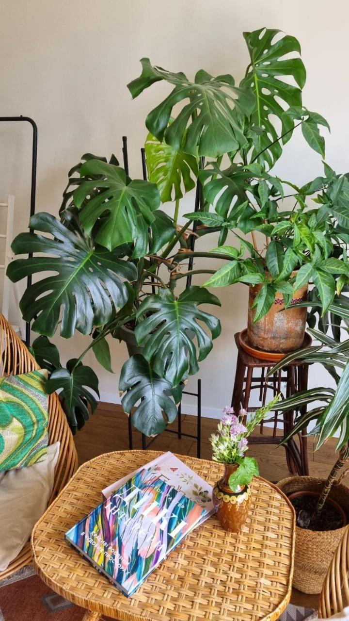 Apartment Jungle Kyiv